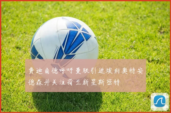 费迪南德呼吁曼联引进埃利奥特安德森并关注荷兰新星斯密特
